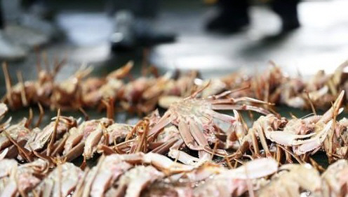 대게. 연합뉴스.